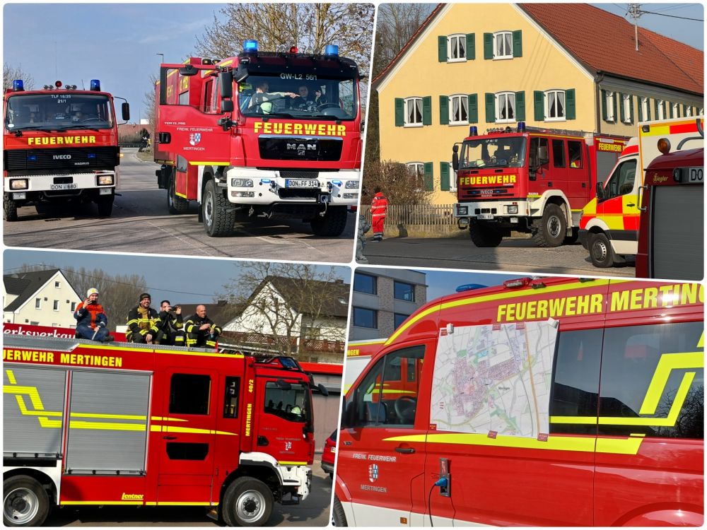 faschingsumzug2