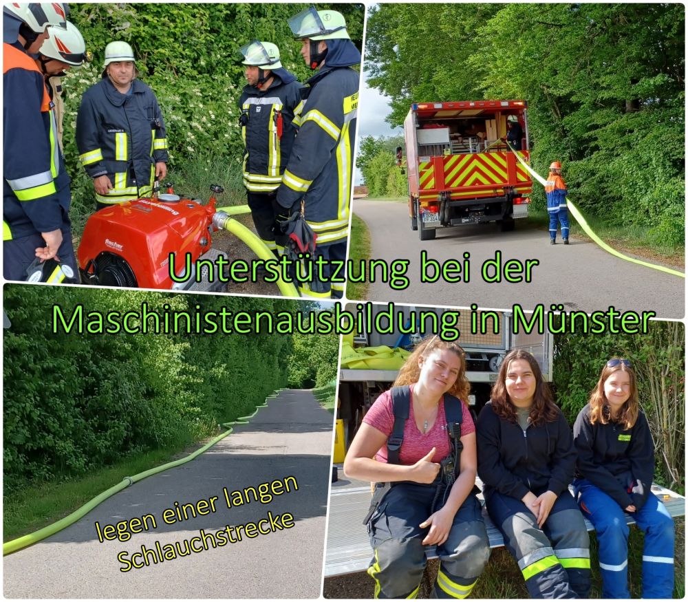 impressionen juni 25 4