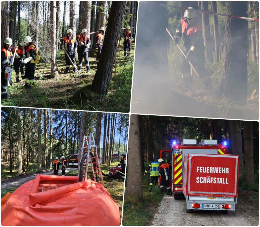waldbrand2