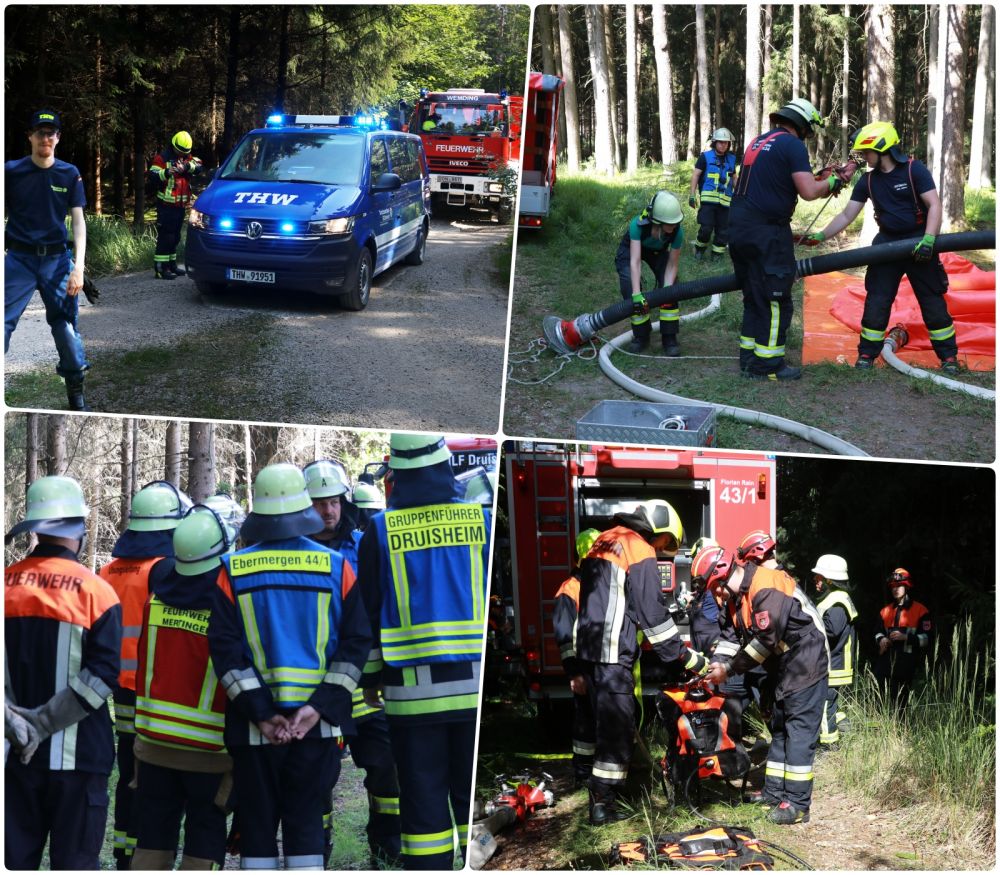 waldbrand3