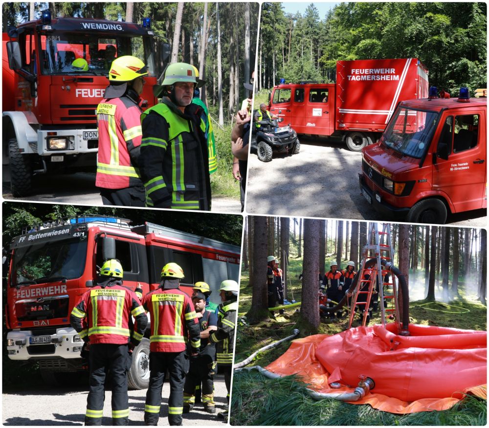 waldbrand5