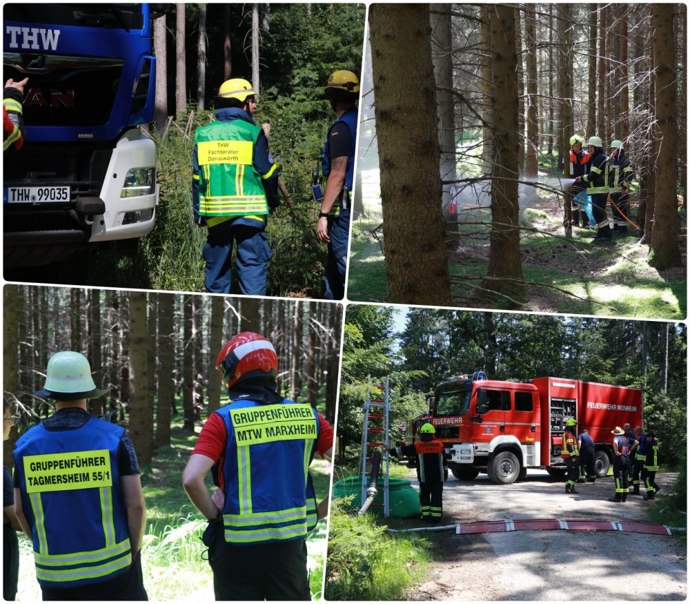 waldbrand6