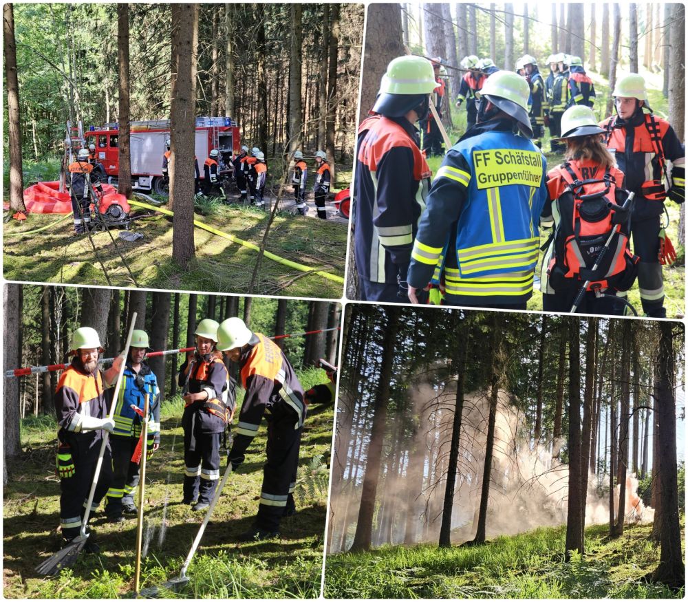 waldbrand7